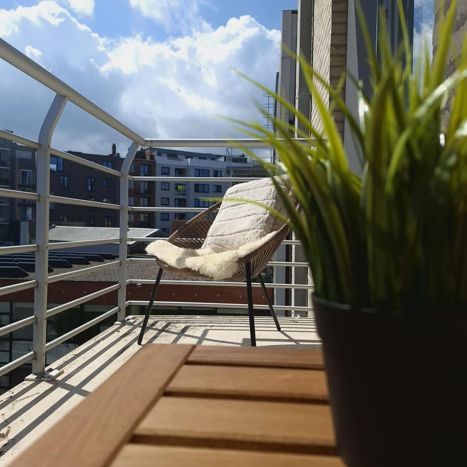 Luxueus, Ruim Appartement Op 350M Van Het Strand أوستيند المظهر الخارجي الصورة